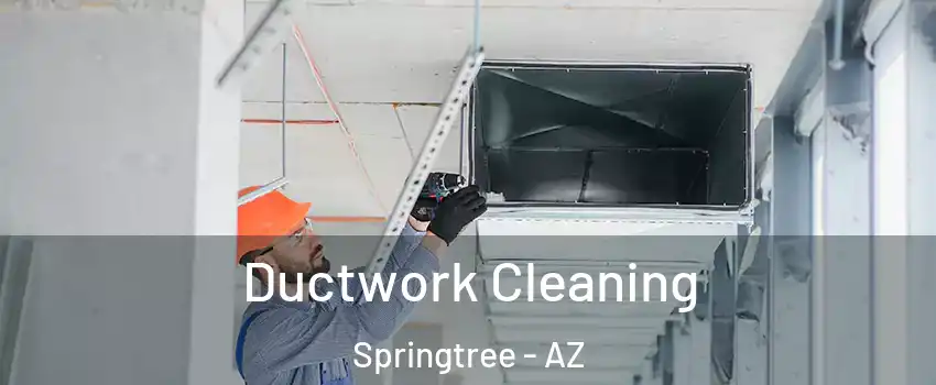 Ductwork Cleaning Springtree - AZ