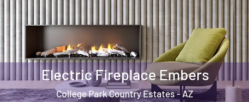Electric Fireplace Embers College Park Country Estates - AZ