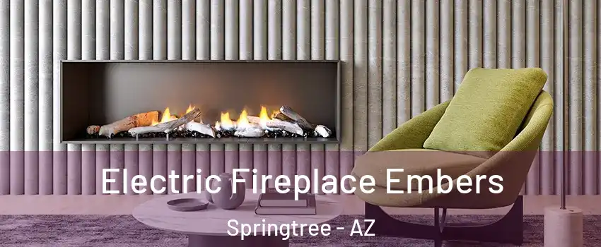 Electric Fireplace Embers Springtree - AZ