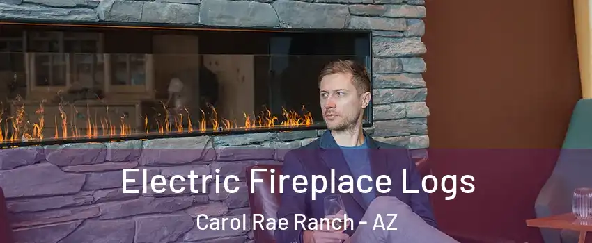 Electric Fireplace Logs Carol Rae Ranch - AZ