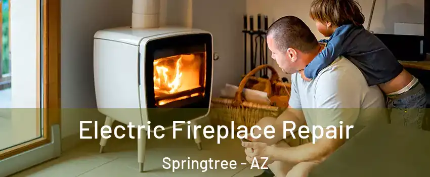 Electric Fireplace Repair Springtree - AZ