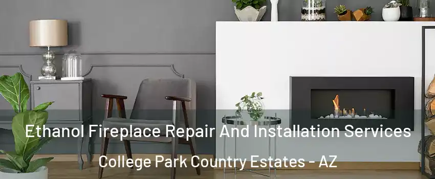 Ethanol Fireplace Repair And Installation Services College Park Country Estates - AZ