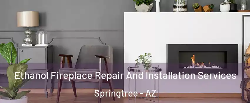 Ethanol Fireplace Repair And Installation Services Springtree - AZ