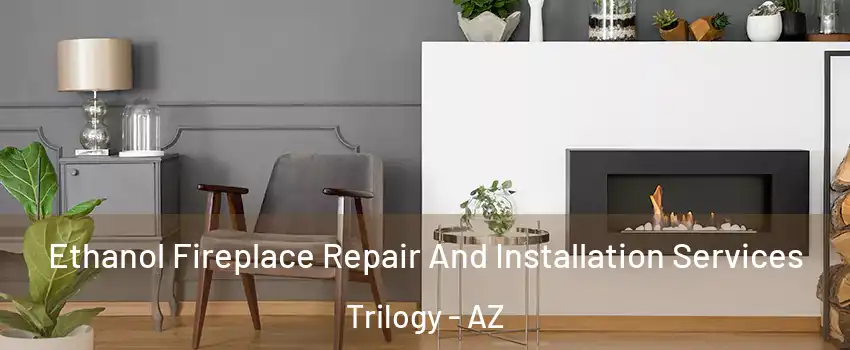 Ethanol Fireplace Repair And Installation Services Trilogy - AZ