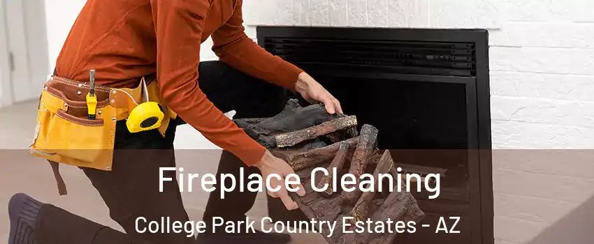 Fireplace Cleaning College Park Country Estates - AZ