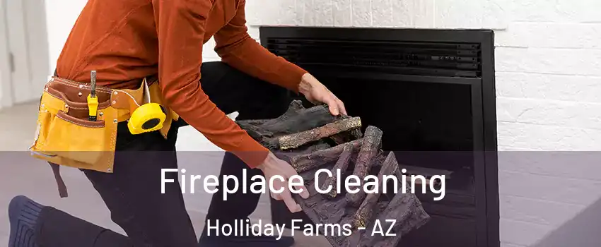 Fireplace Cleaning Holliday Farms - AZ