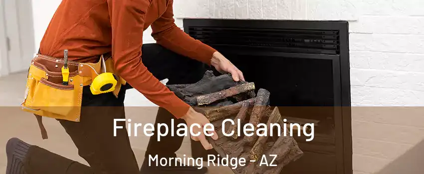 Fireplace Cleaning Morning Ridge - AZ