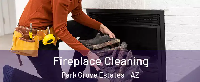 Fireplace Cleaning Park Grove Estates - AZ