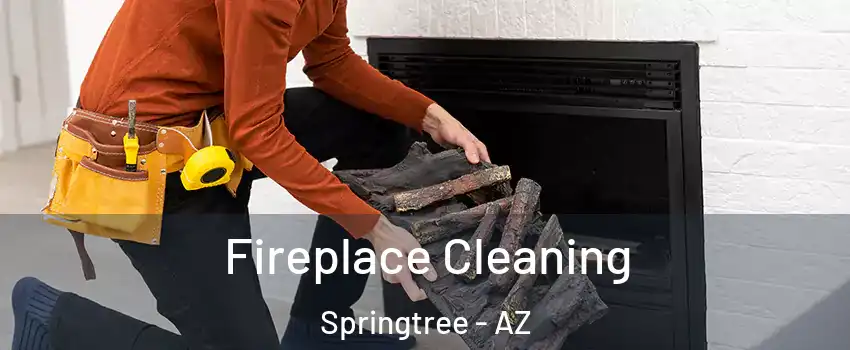 Fireplace Cleaning Springtree - AZ