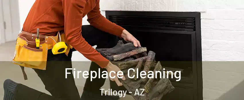 Fireplace Cleaning Trilogy - AZ
