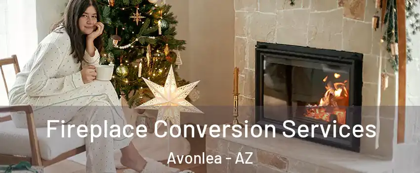 Fireplace Conversion Services Avonlea - AZ