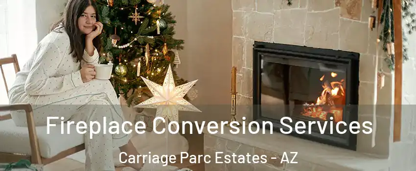 Fireplace Conversion Services Carriage Parc Estates - AZ