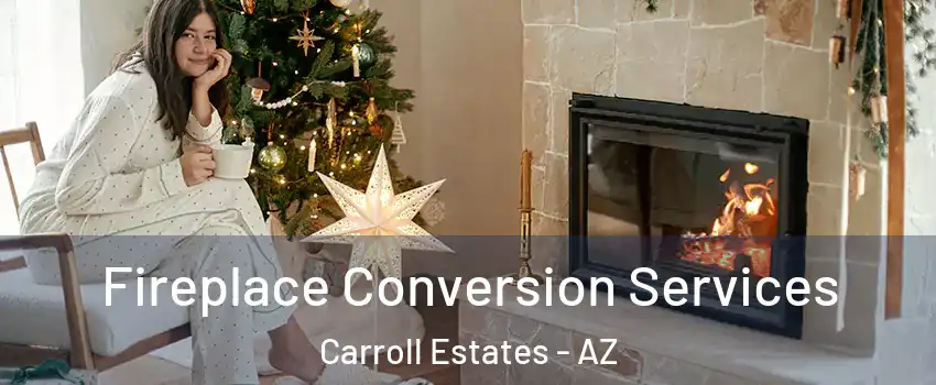Fireplace Conversion Services Carroll Estates - AZ