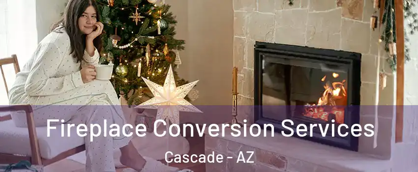 Fireplace Conversion Services Cascade - AZ