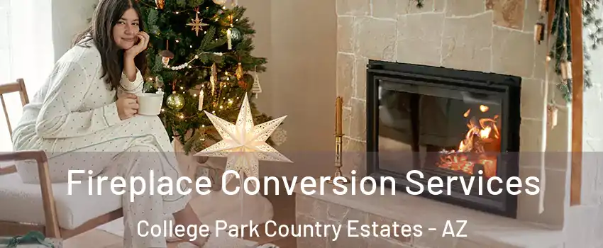 Fireplace Conversion Services College Park Country Estates - AZ