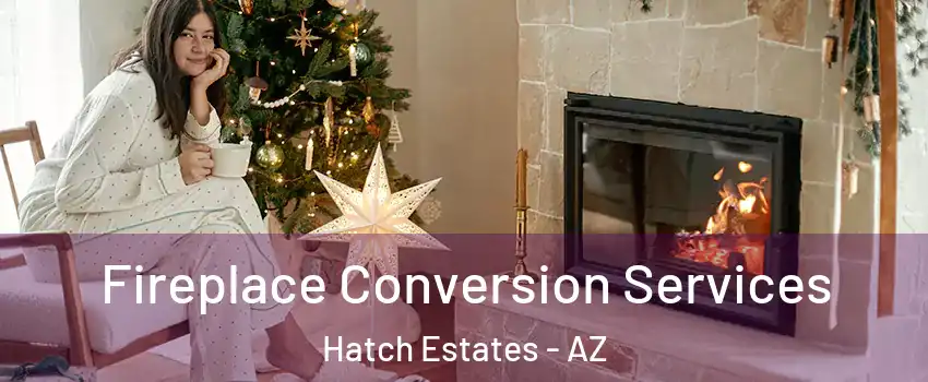 Fireplace Conversion Services Hatch Estates - AZ