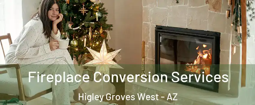 Fireplace Conversion Services Higley Groves West - AZ