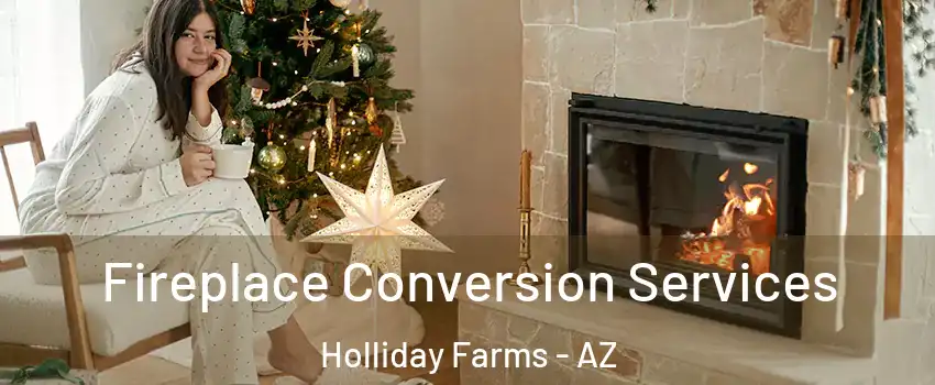 Fireplace Conversion Services Holliday Farms - AZ