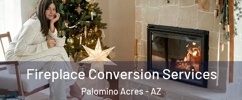 Fireplace Conversion Services Palomino Acres - AZ