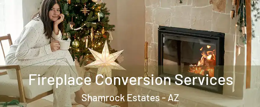 Fireplace Conversion Services Shamrock Estates - AZ