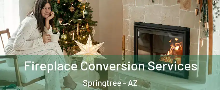 Fireplace Conversion Services Springtree - AZ