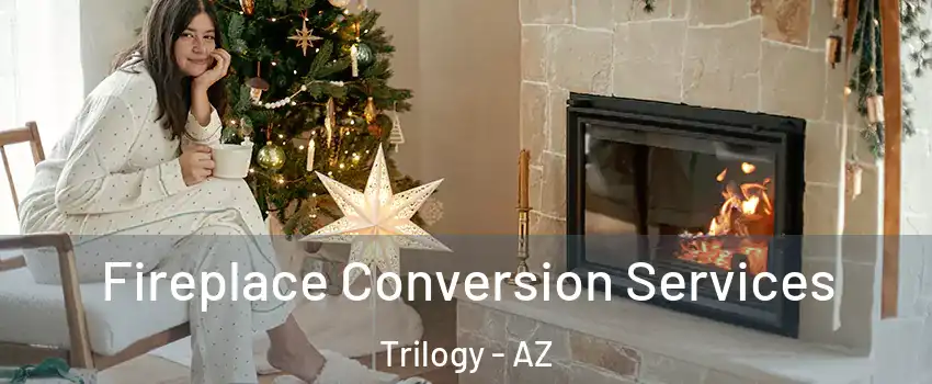 Fireplace Conversion Services Trilogy - AZ