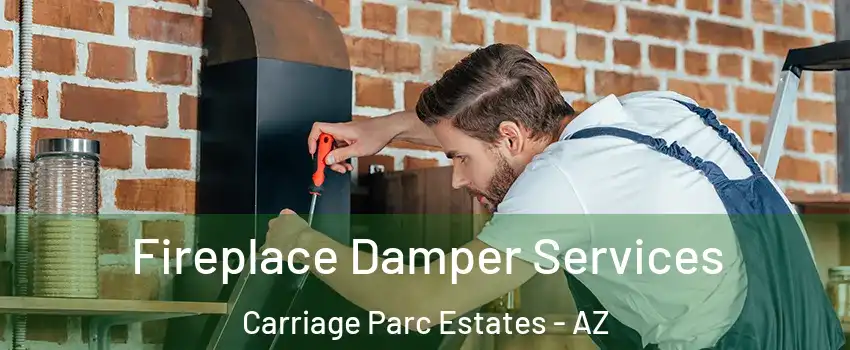 Fireplace Damper Services Carriage Parc Estates - AZ