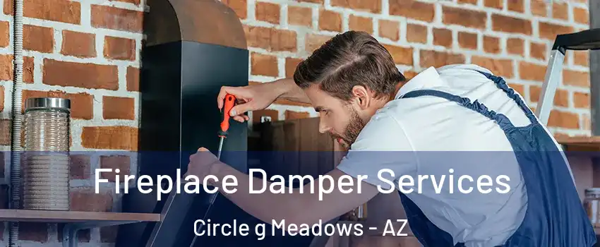 Fireplace Damper Services Circle g Meadows - AZ