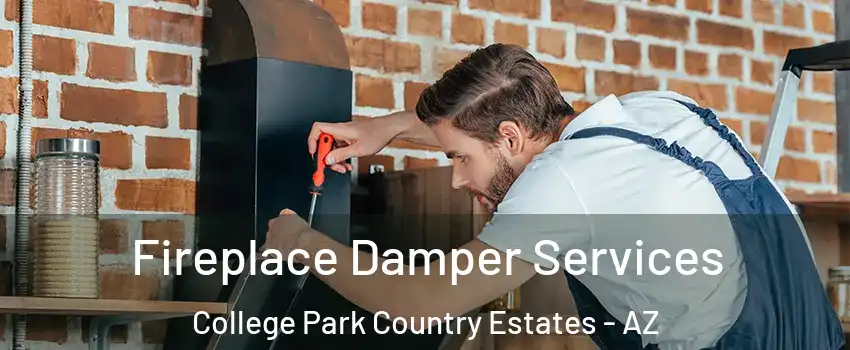 Fireplace Damper Services College Park Country Estates - AZ