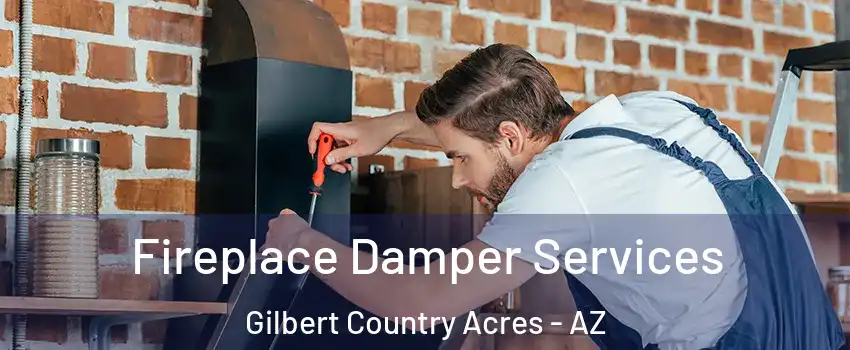 Fireplace Damper Services Gilbert Country Acres - AZ