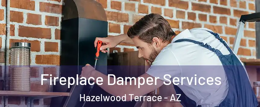 Fireplace Damper Services Hazelwood Terrace - AZ