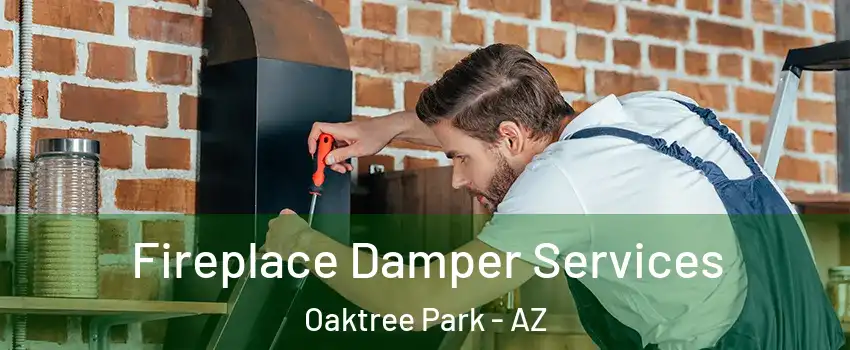 Fireplace Damper Services Oaktree Park - AZ