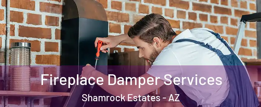 Fireplace Damper Services Shamrock Estates - AZ