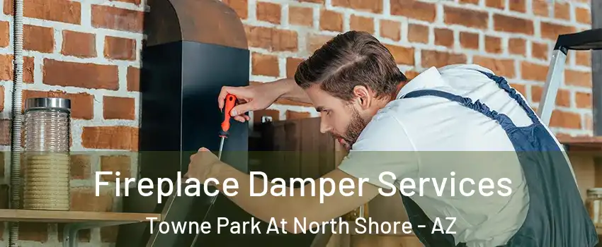 Fireplace Damper Services Towne Park At North Shore - AZ