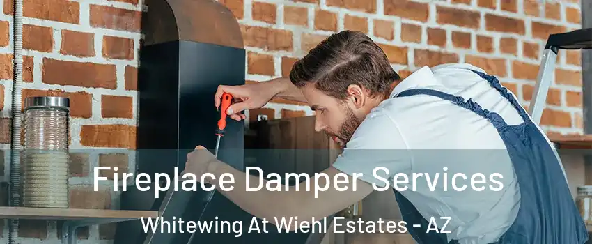 Fireplace Damper Services Whitewing At Wiehl Estates - AZ