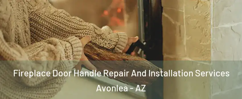 Fireplace Door Handle Repair And Installation Services Avonlea - AZ