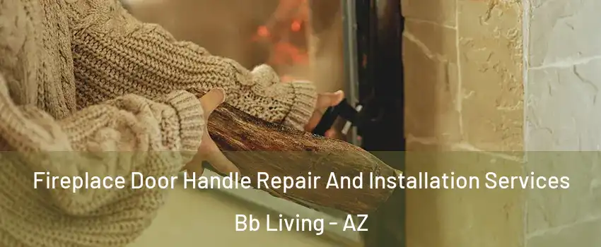 Fireplace Door Handle Repair And Installation Services Bb Living - AZ
