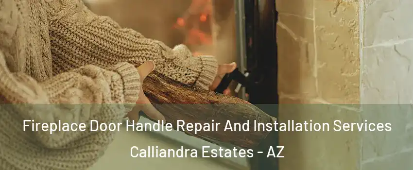 Fireplace Door Handle Repair And Installation Services Calliandra Estates - AZ