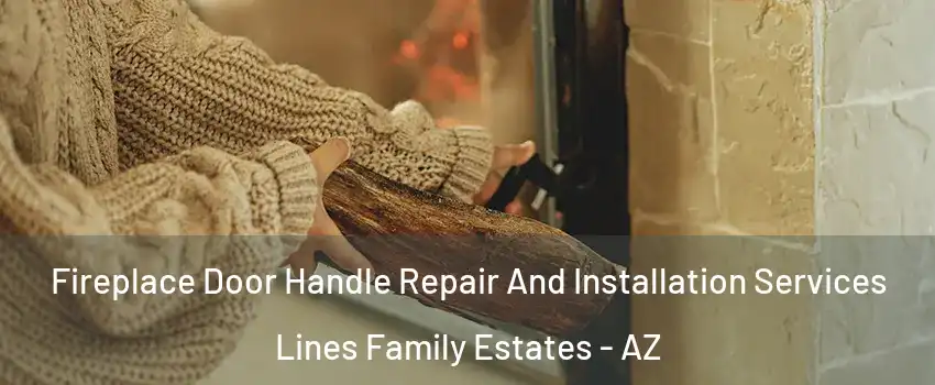 Fireplace Door Handle Repair And Installation Services Lines Family Estates - AZ
