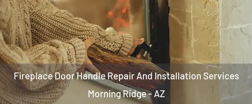 Fireplace Door Handle Repair And Installation Services Morning Ridge - AZ