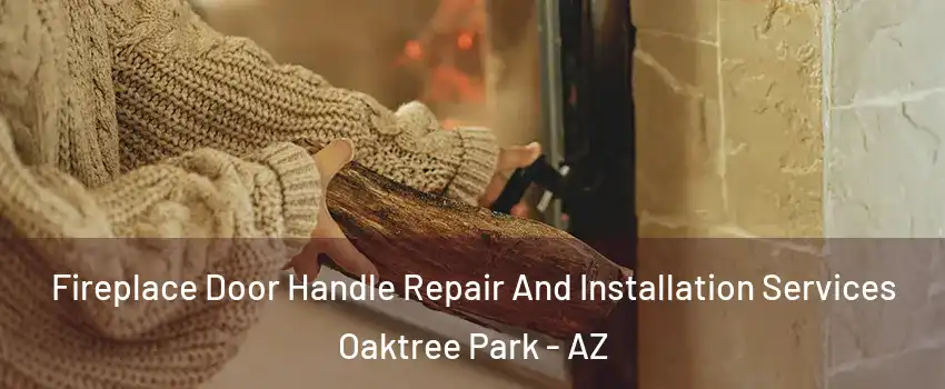 Fireplace Door Handle Repair And Installation Services Oaktree Park - AZ