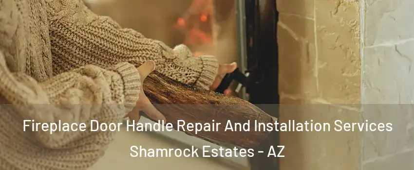 Fireplace Door Handle Repair And Installation Services Shamrock Estates - AZ