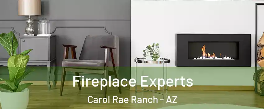 Fireplace Experts Carol Rae Ranch - AZ