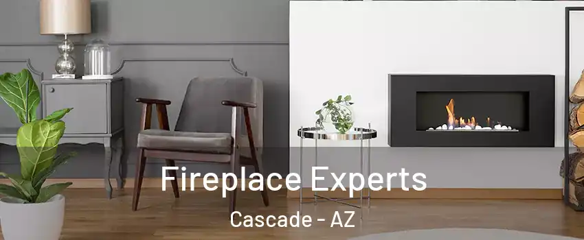 Fireplace Experts Cascade - AZ