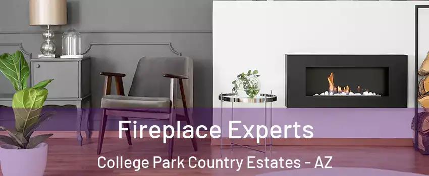 Fireplace Experts College Park Country Estates - AZ