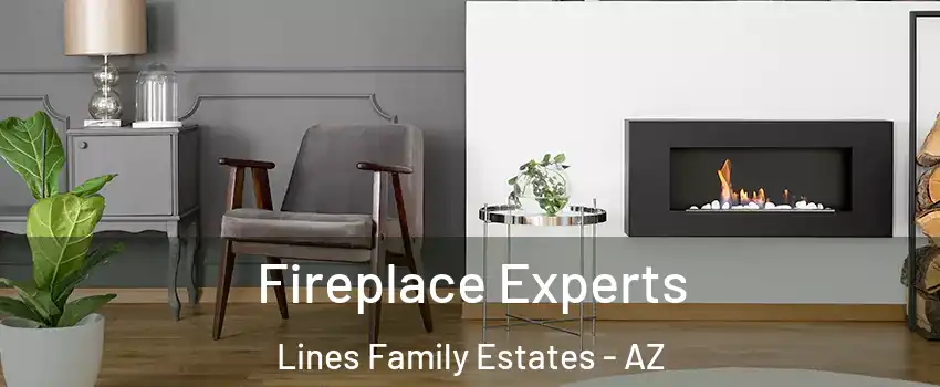 Fireplace Experts Lines Family Estates - AZ