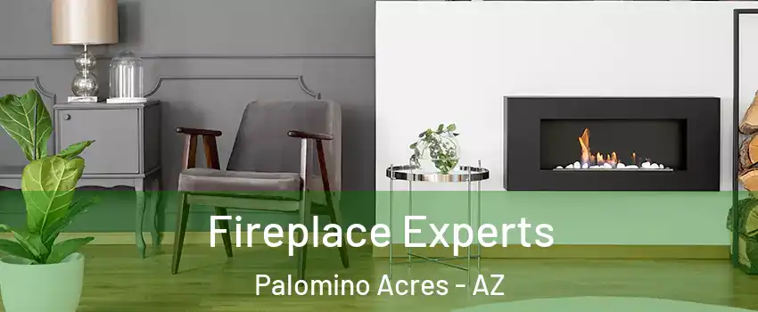 Fireplace Experts Palomino Acres - AZ