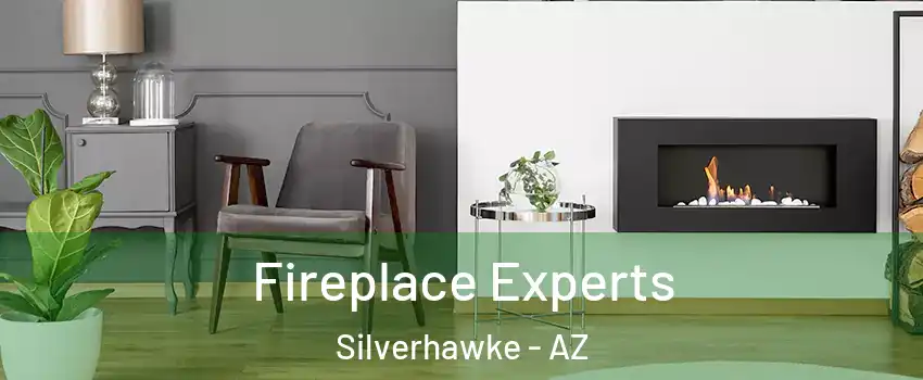 Fireplace Experts Silverhawke - AZ