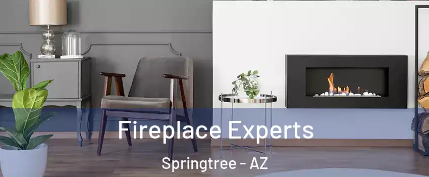 Fireplace Experts Springtree - AZ