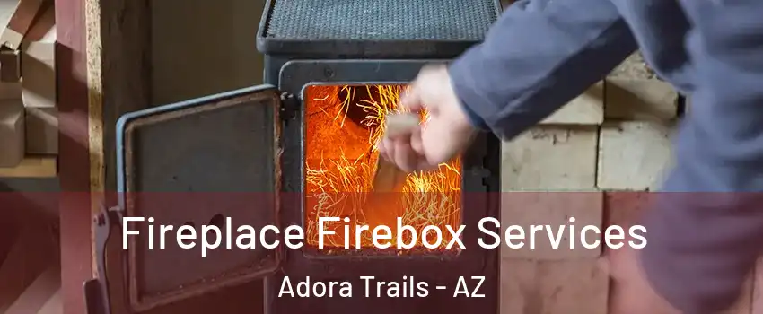 Fireplace Firebox Services Adora Trails - AZ